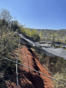  过度关心短期收益